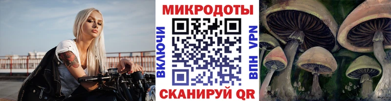 гидра tor  закладка  Петров Вал  Псилоцибиновые грибы MAGIC MUSHROOMS 